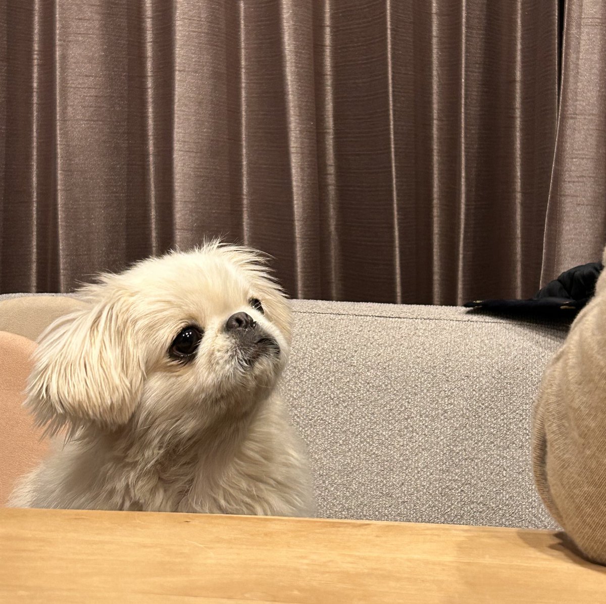 むぎくん (@muuuugi76) / Posts / X