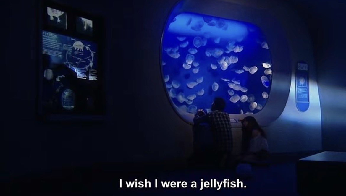 unsuredream tweet picture