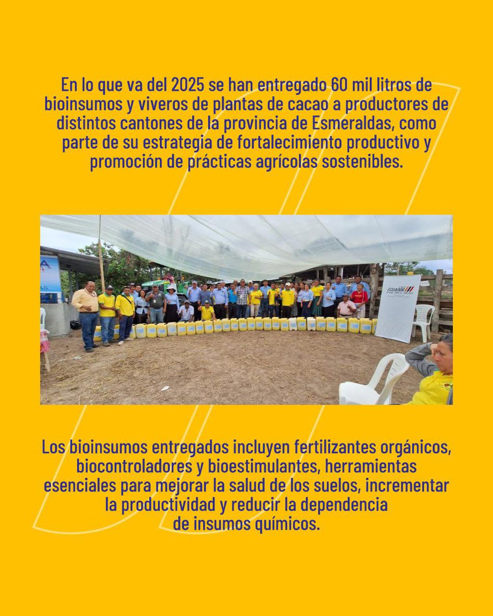 AgriculturaEc's tweet photo. #MAGPInforma | Esta semana, el agro avanzó en territorio👨🏻‍🌾✨

Acompañamos a productores y comunidades con acciones que fortalecieron la Agricultura Familiar Campesina, el trabajo asociativo y una producción sostenible, en articulación con aliados estratégicos por el desarrollo rural de #ElNuevoEcuador. 🇪🇨🌾