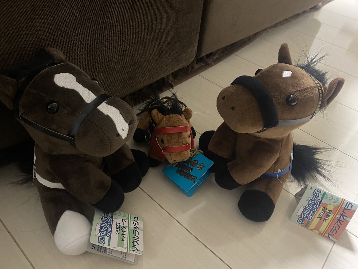 特大　ロマンチックウォリアー　アイドルホース　ぬいぐるみ　特大サイズ　香港 今日は香港国際競走🇭🇰ぬいぐるみでは、ソウルラッシュくんとべラジオ