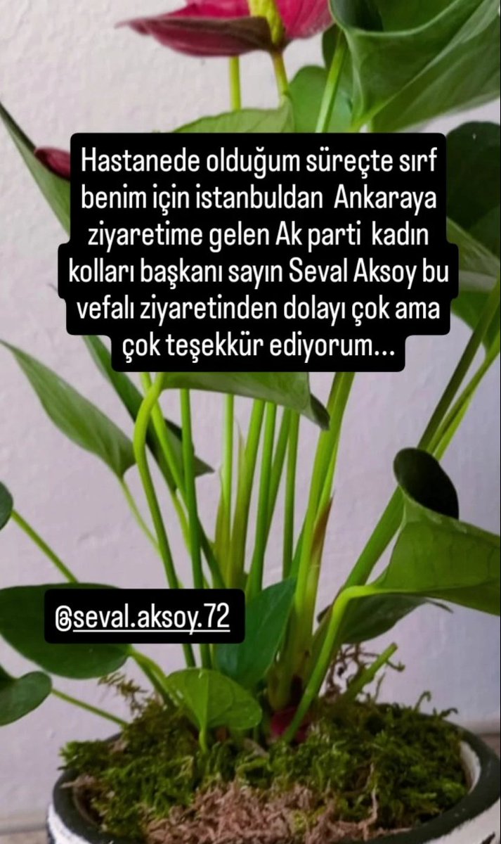 Vefa duanın temelidir...