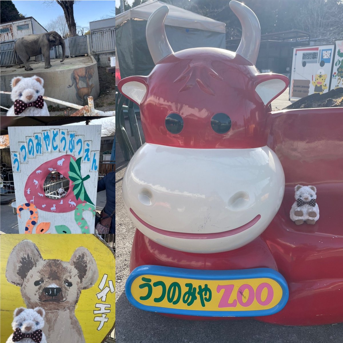 昨日は大谷資料館&amp;宇都宮動物園に行ってきました！

…マイムはハイエナに似ている！？