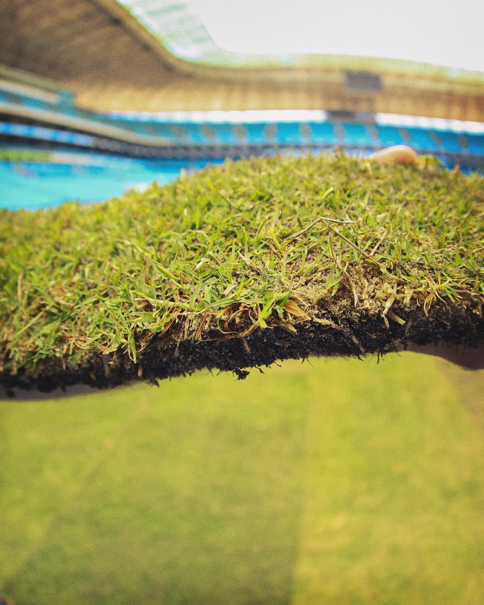 Gremio's tweet photo. 𝐒𝐭𝐚𝐫𝐭 𝐧𝐚 𝐜𝐨𝐥𝐨𝐜𝐚𝐜̧𝐚̃𝐨 𝐝𝐨 𝐧𝐨𝐯𝐨 𝐠𝐫𝐚𝐦𝐚𝐝𝐨 𝐝𝐚 𝐧𝐨𝐬𝐬𝐚 𝐜𝐚𝐬𝐚 🇪🇪 O tapete da Arena começou a tomar forma! A grama da variedade Tahoma é reconhecida por ser a mais moderna do mundo e pela primeira vez será utilizada no Brasil. A estrutura é igual a que a FIFA usará na Copa do Mundo de 2026.

📸 Rodrigo Fatturi | Grêmio FBPA 

Detalhes em https://t.co/mPiat1X6Hx