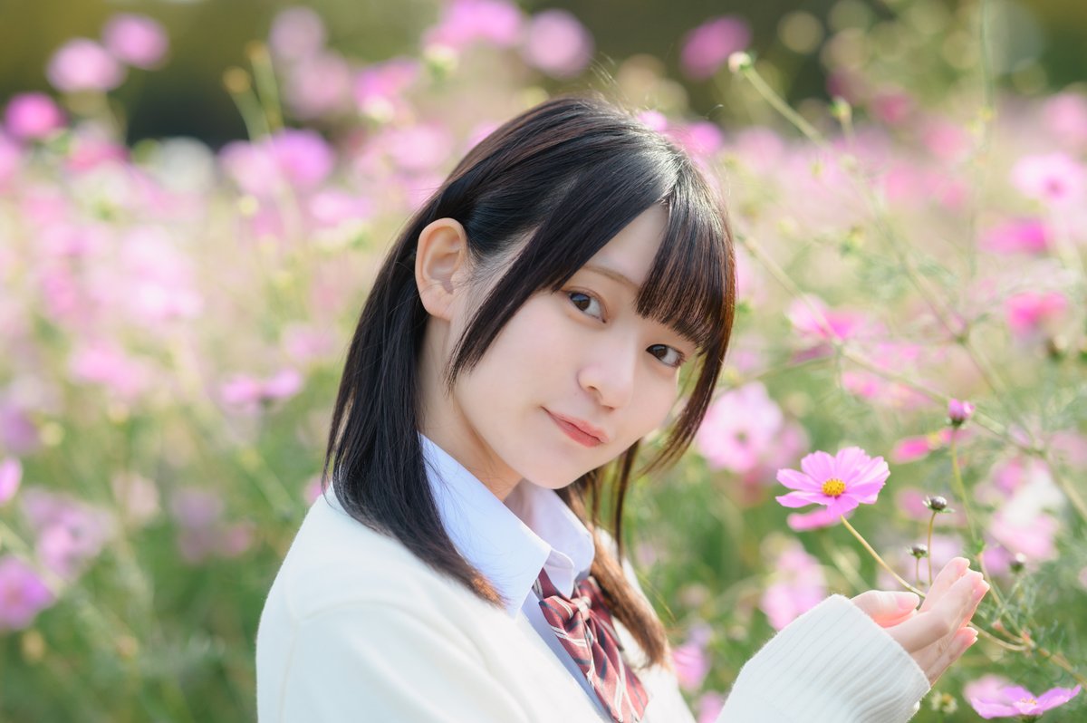 くわとろ (@quwaquwaww) / Posts / X