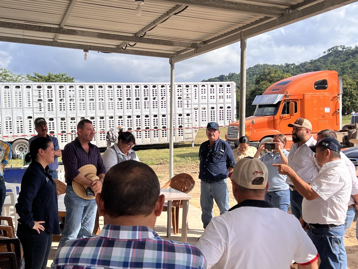 Hoy participé en una reunión estratégica en los corrales fronterizos de El Ceibo junto a la Ministra de Agricultura, Ing. María Fernanda Rivera Dávila, donde abordamos trazabilidad, agilización de procesos y sanidad animal, especialmente ante el gusano barrenador,