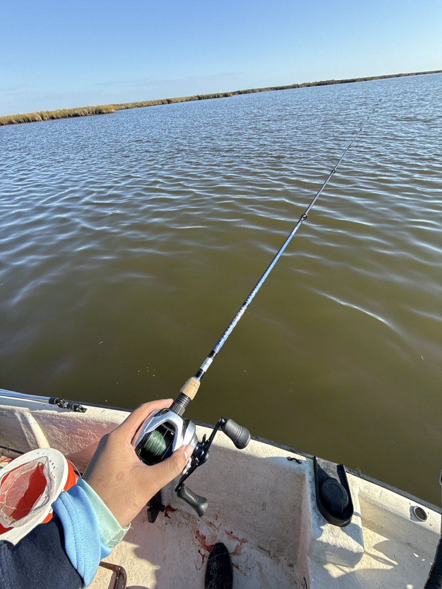 LucidMedia_'s tweet photo. Water activities https://t.co/0Jw7YT14AE