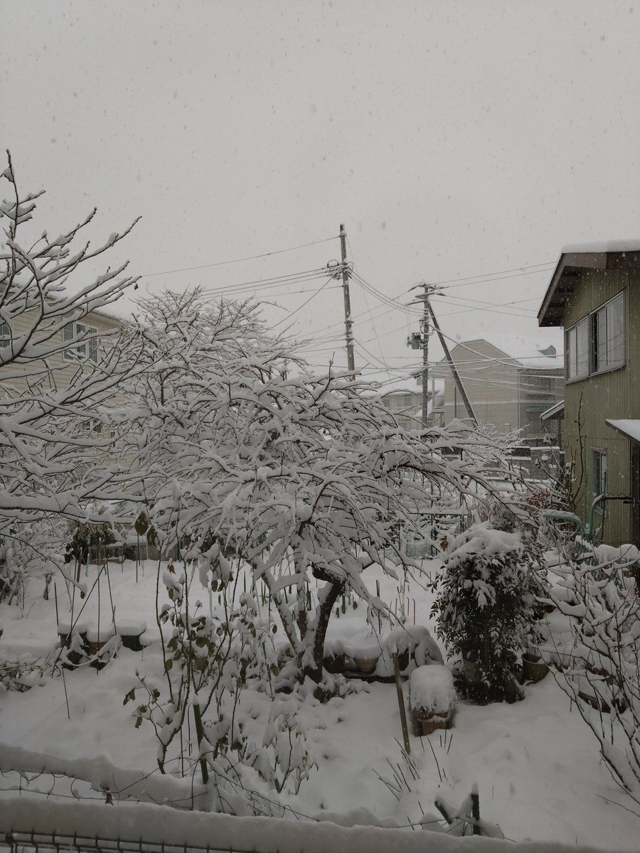 雪積もってるんなあ