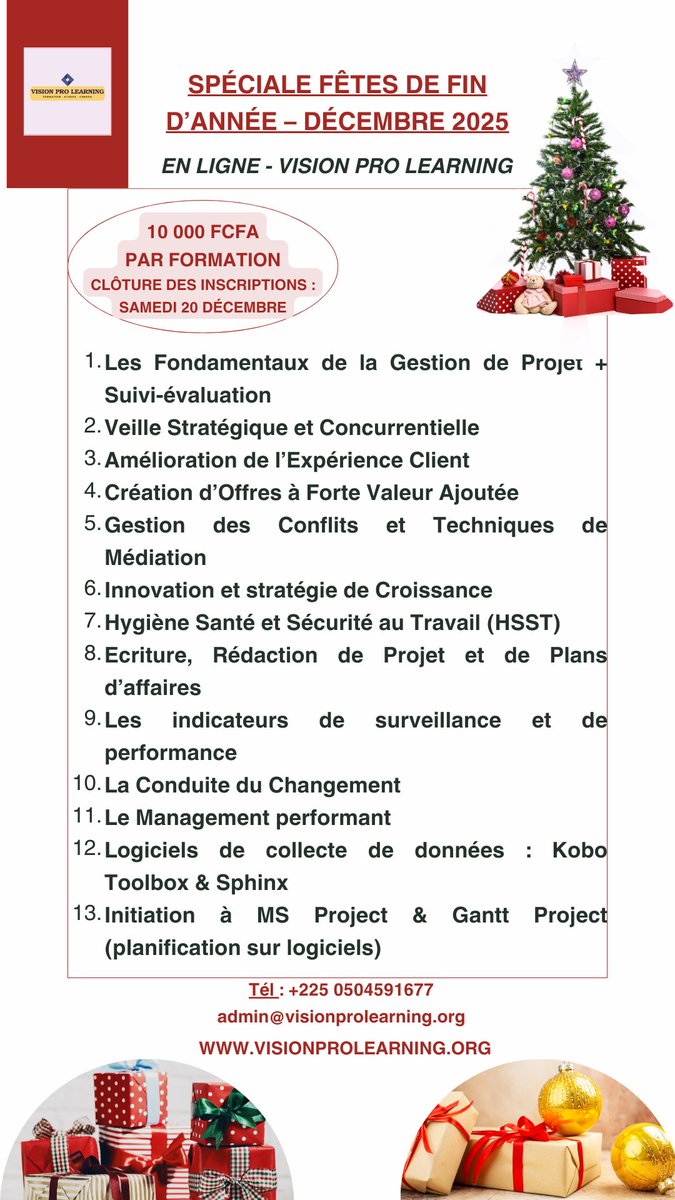🎄✨ PROMOTION EXCEPTIONNELLE – FÊTES DE FIN D'ANNÉE ✨🎄 DERNIÈRE SEMAINE –  CLÔTURE DÉFINITIVE DES INSCRIPTIONS À l'occasion des fêtes de fin d'année,  VISION PRO LEARNING vous offre une opportunité unique de, image size:675x1200