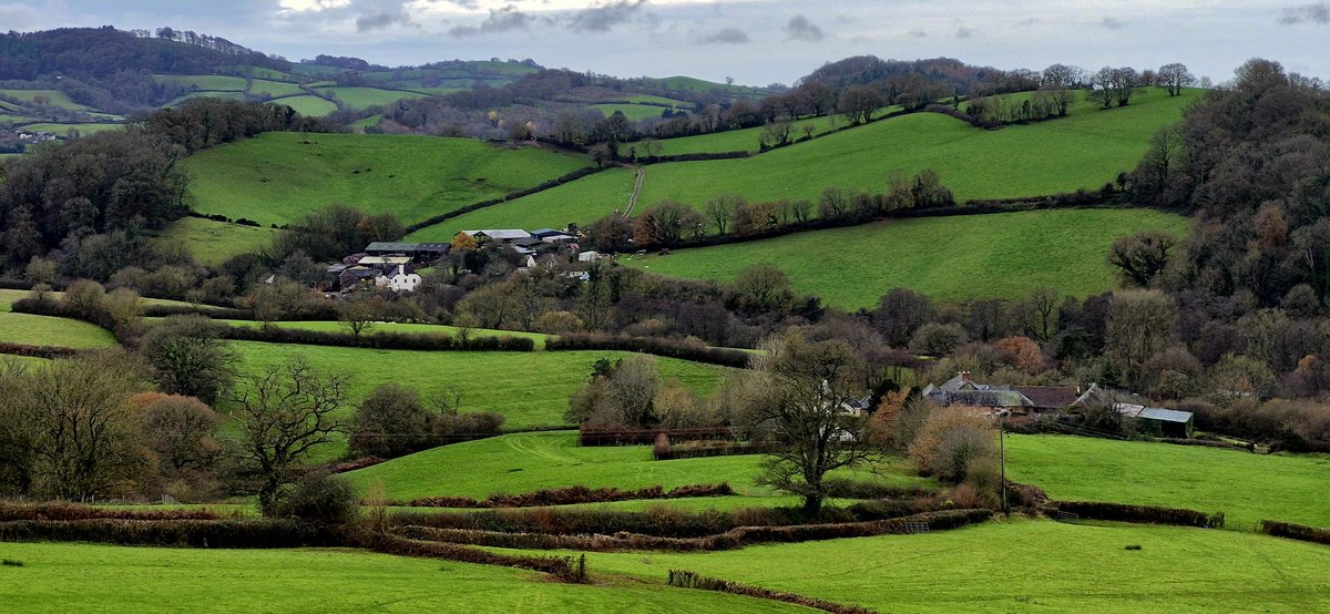 Tim Thorley 🇪🇺🇬🇧🇺🇦🚴🥃 tweet media