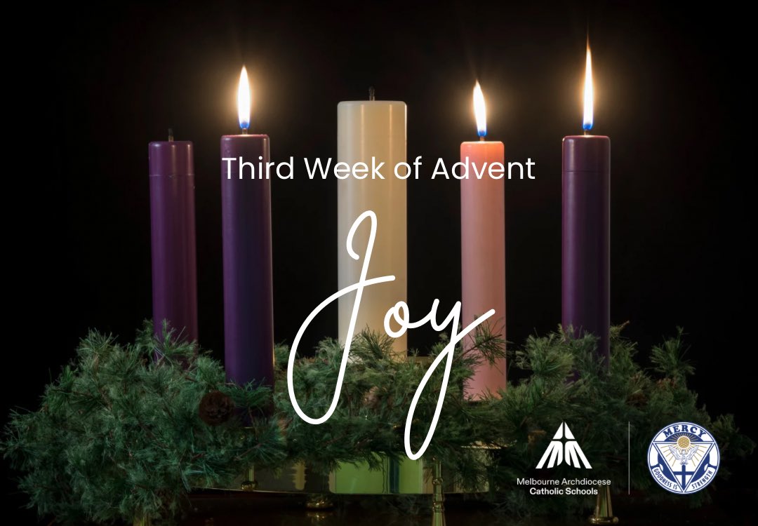 Mercy College tweet media