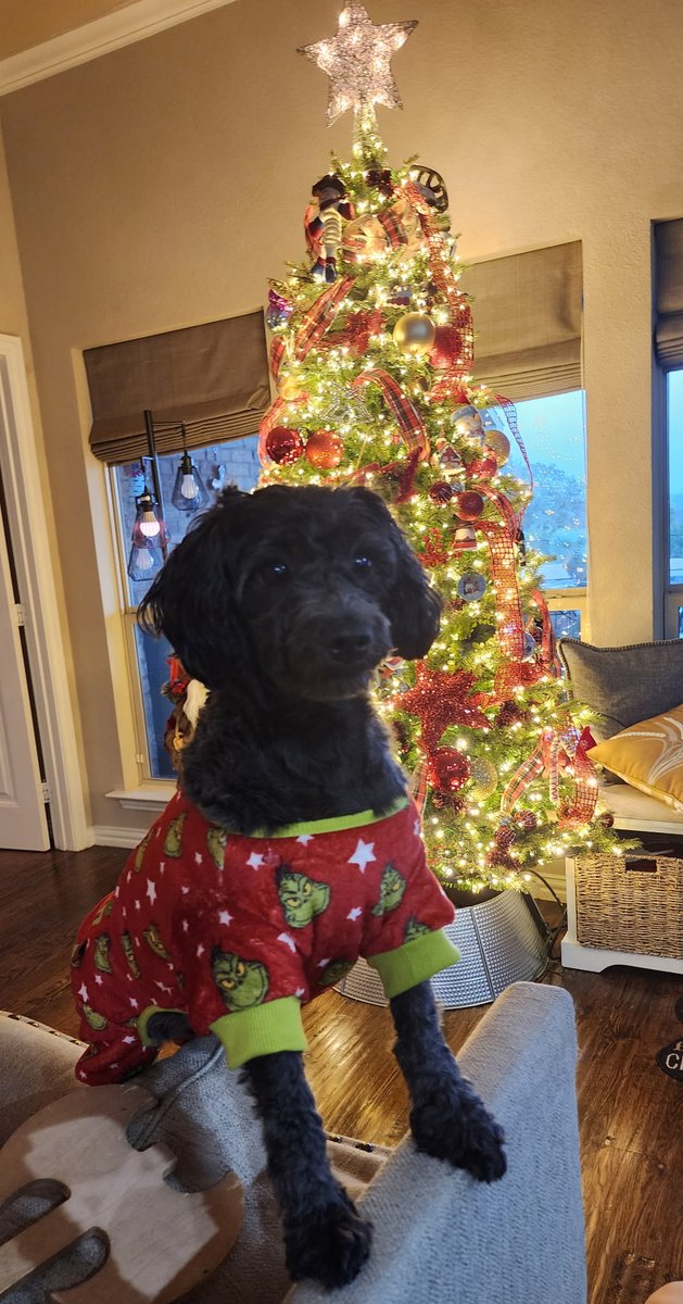 Kieran717 tweet media