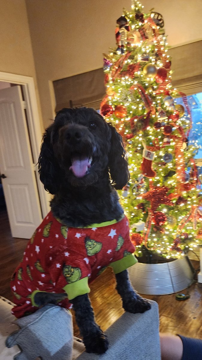 Kieran717 tweet media