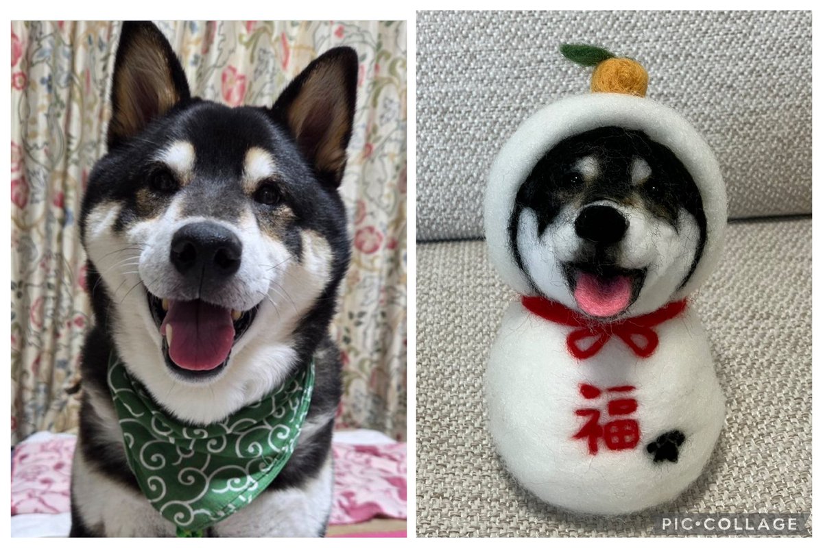 おはようございます☁️
そら君にもおもちの白と「福」の文字がはいりました🥰どうかな？

＃羊毛フェルト　＃うちの子鏡餅