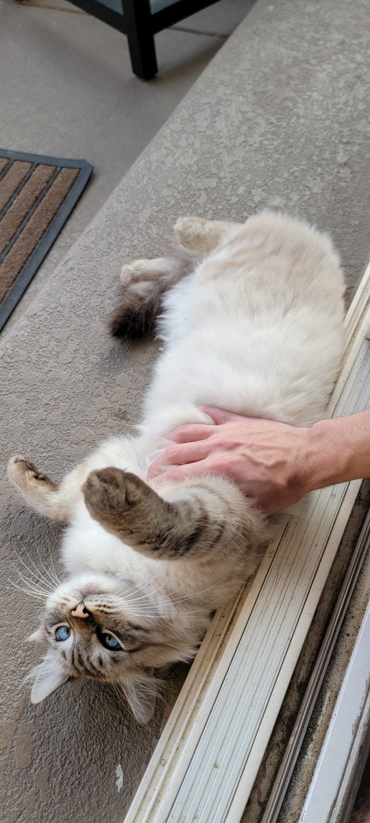 throwyourtoast's tweet photo. to claim your worm: 
1) grasp him firmly https://t.co/c4l8a4pFsF