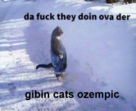 CindiKit's tweet photo. #MEOW1 https://t.co/tn6POPoGZm