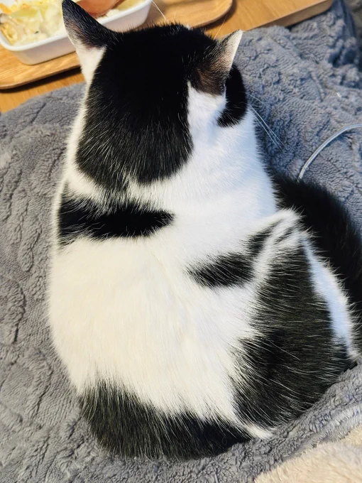 冬毛…だよね?