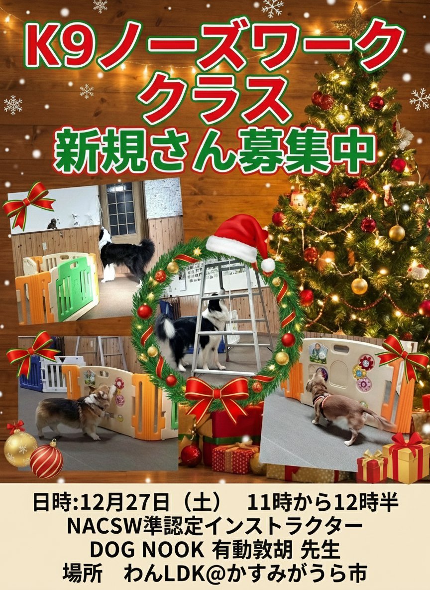 wan_ldk's tweet photo. 今年最後のK9ノーズワーククラスは
12月27日（土） 11時からになります。
👇️詳細はこちらから👇️
https://t.co/eL0eEOpL4D https://t.co/A2q6yFlJIw
