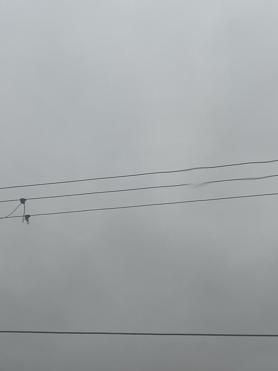 ruiruicamovi's tweet image. そしたら今日のご予定は漢字一文字でおしえて！