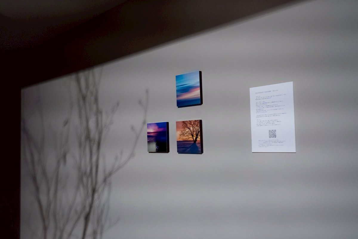 丸山茂樹 tweet media