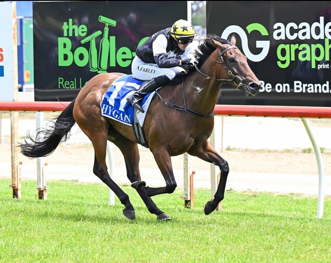 Good luck to my girl Shame on Sue in Race 3 at Bordertown today. 🤞