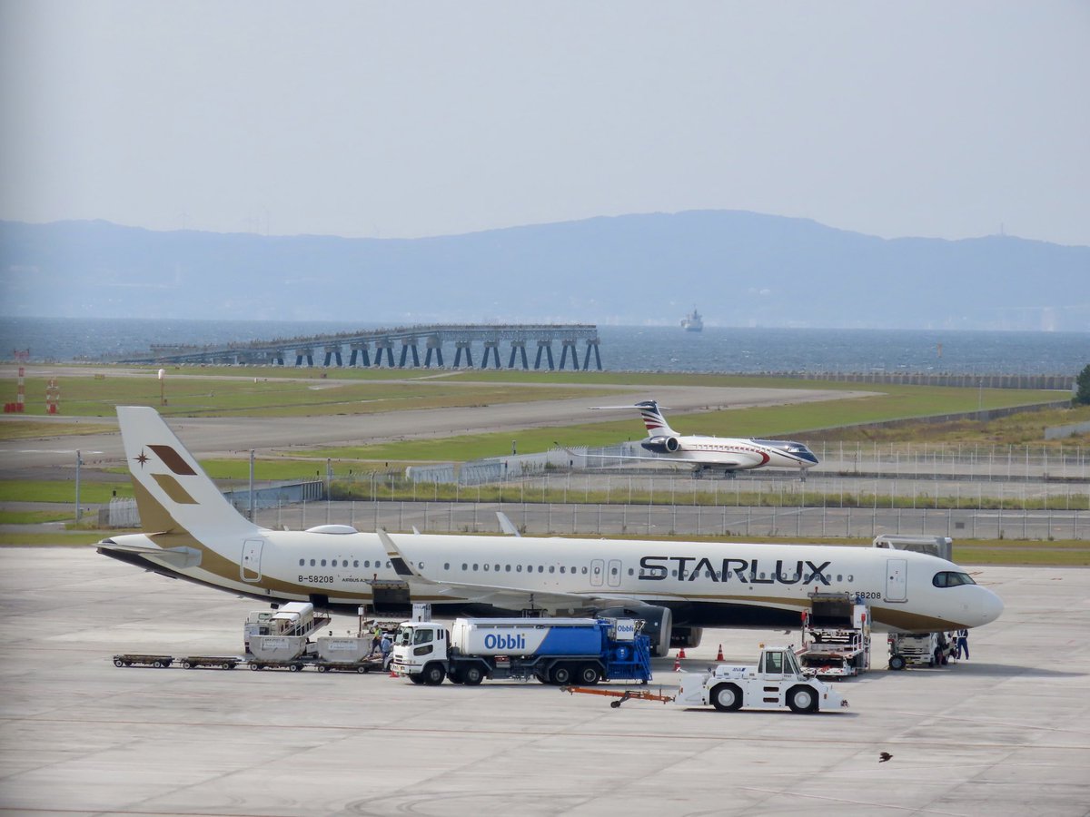 無言で真横写真を貼る