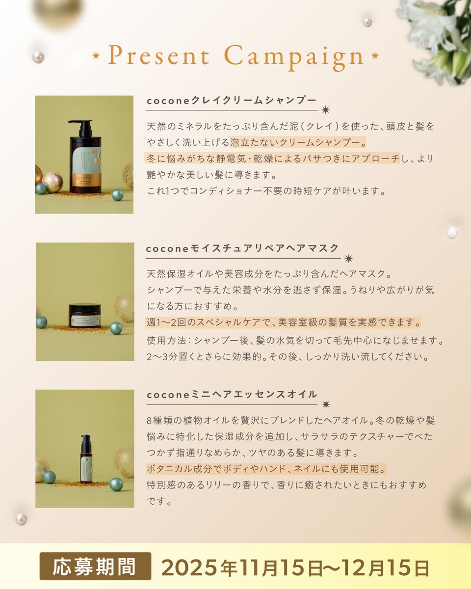 coconeからのクリスマスプレゼント🎄 豪華限定セットが【 50名様
