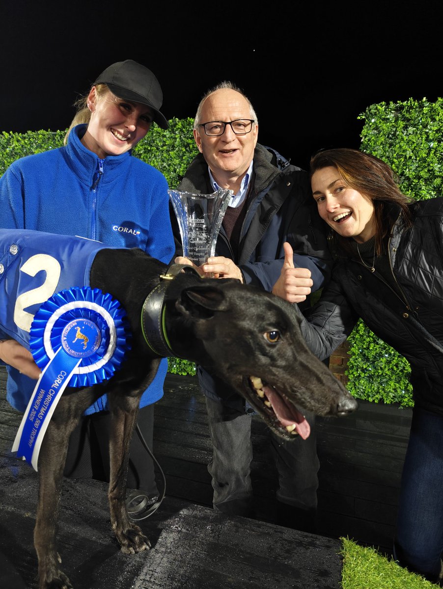 ClassicRaceDave's tweet image. I've just got home and I still can't believe Jacktavern Mojo has won the Christmas 500 final and the bookies pushed him out to 33/1 😮 Well done Belinda, Gary and all the team 🏆