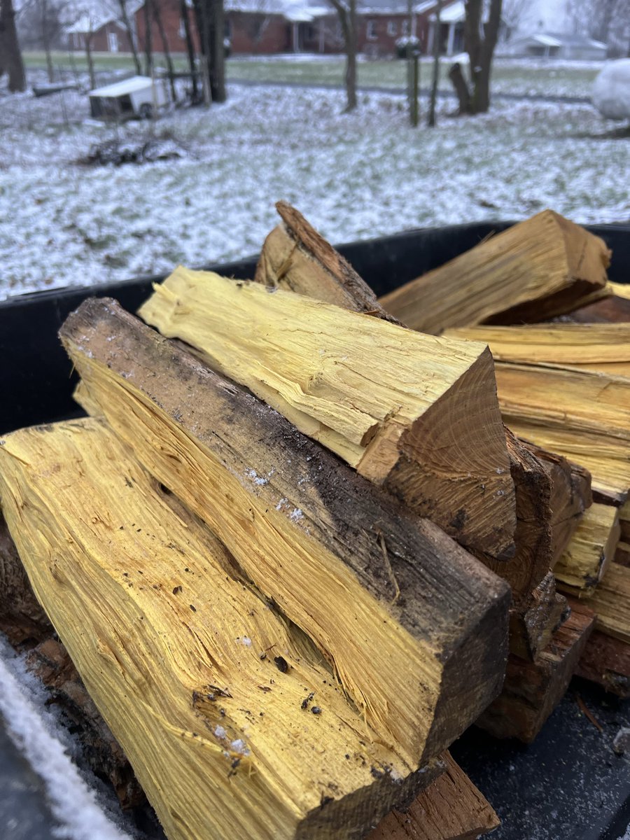 Mathew with Cottage Pastures tweet media