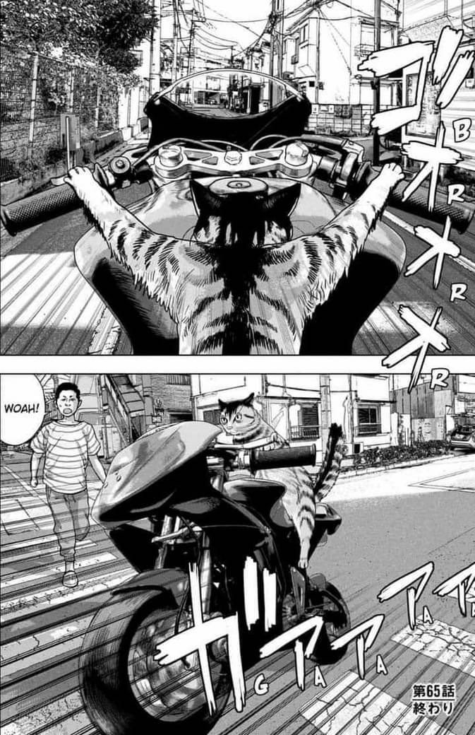 el héroe Kamen Rider⁉️🙀🏍️