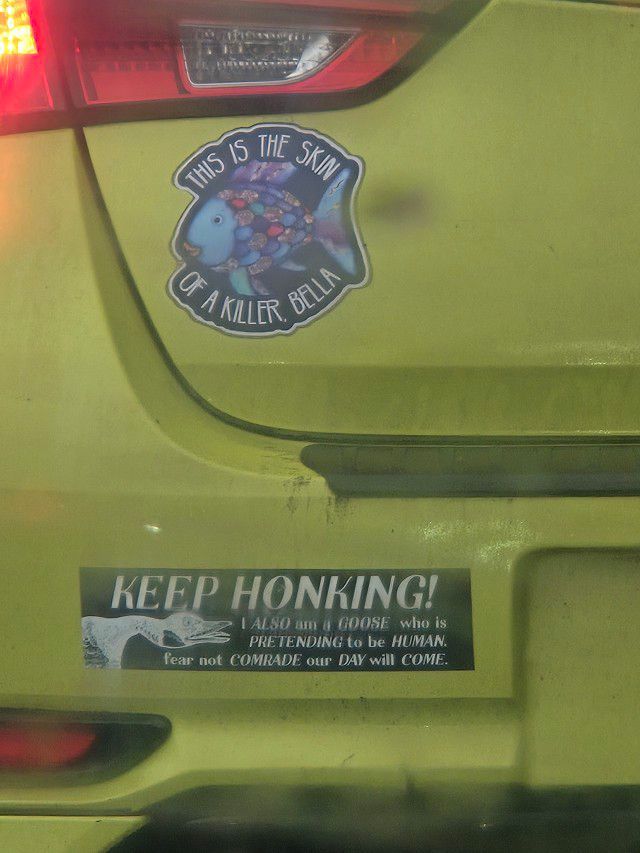 equine__dentist's tweet image. new kind of guy just dropped