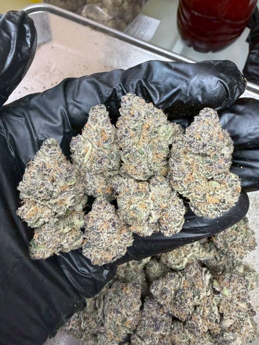 thomas_boyd420's tweet photo. 🍈 Super Boof (Top-คละ)
      ( 🤮 THC 35-36% )
  ( Indica 70 / Sativa 30 )
❄️ Indoor Exotic
Preminum flower 

https://t.co/WSrfRoYlmL

#THC30Plus #IndicaDominant #SativaBlend #CannabisCommunity #WeedLife #HighQualityBud #ChronicPainRelief #CannabisCulture https://t.co/ke1j6TqvsF