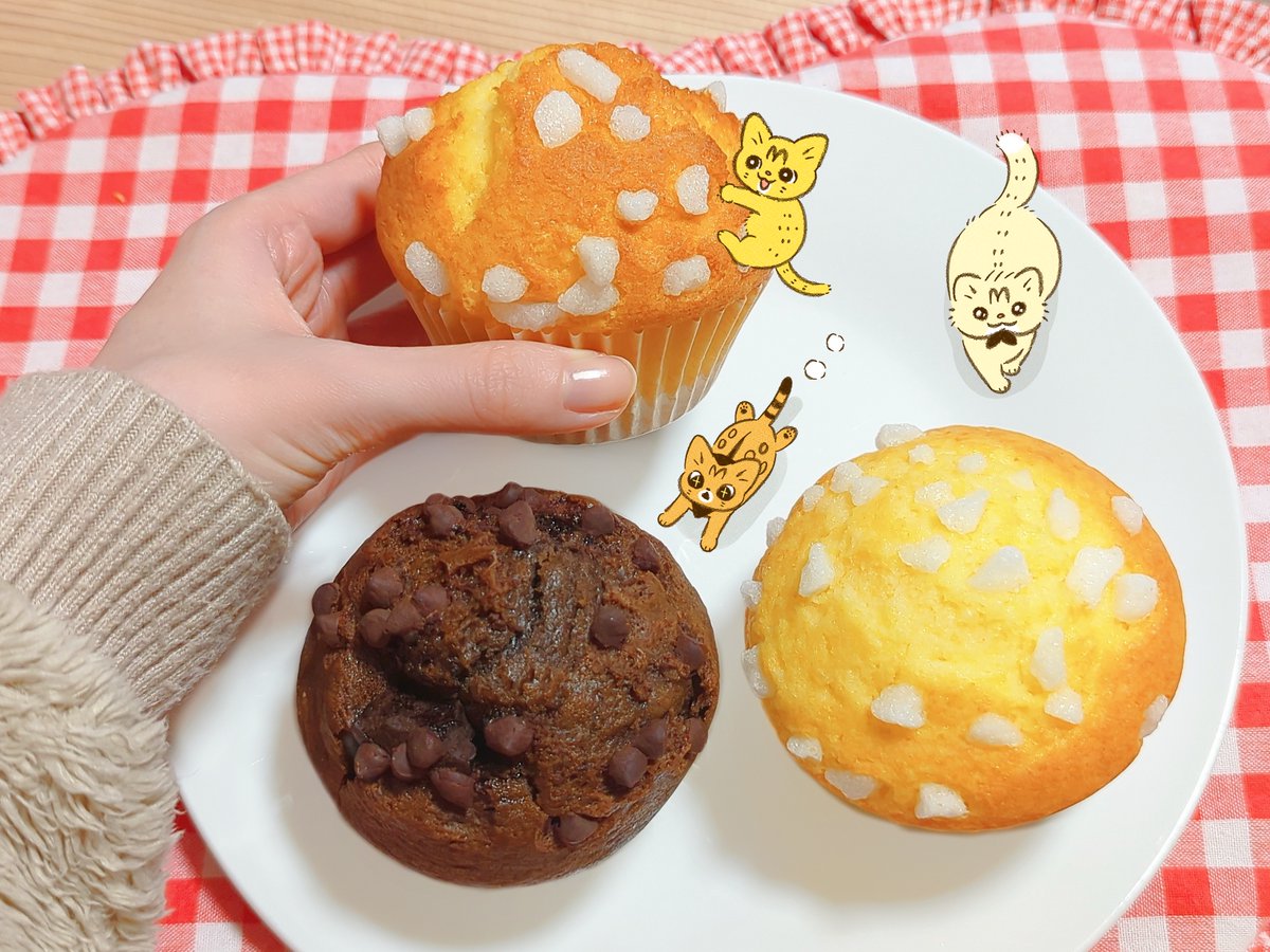 類🐱 (@ruuiruiruirui) / Posts / X