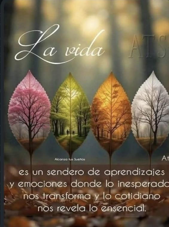 Eva Ortiz tweet media