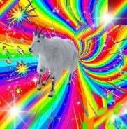 defisculptor's tweet photo. Flying Ketamine Horse just broke ATH and is at 10.2M
@Pumpfun
now has the Flying Mountain Goat
$FMG
Absolutely hilarious viral Tiktok video
17.2M views and 1M likes in 3 days.
tiktok: https://t.co/fGQCEtrrkP https://t.co/5KxRYhu8u8