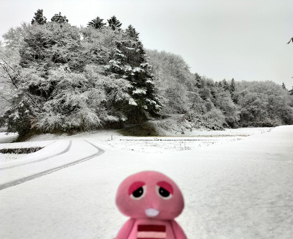 おっはよ…ずい〜ぶん積もったねぇ〜!❄😣💦
