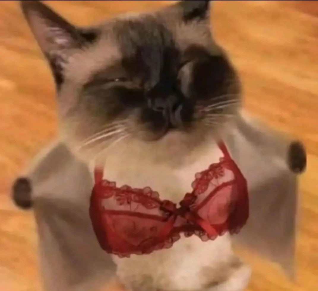 <a href="/tanyarlfes/">Tanyarlfes</a> jule setiap liat cwo