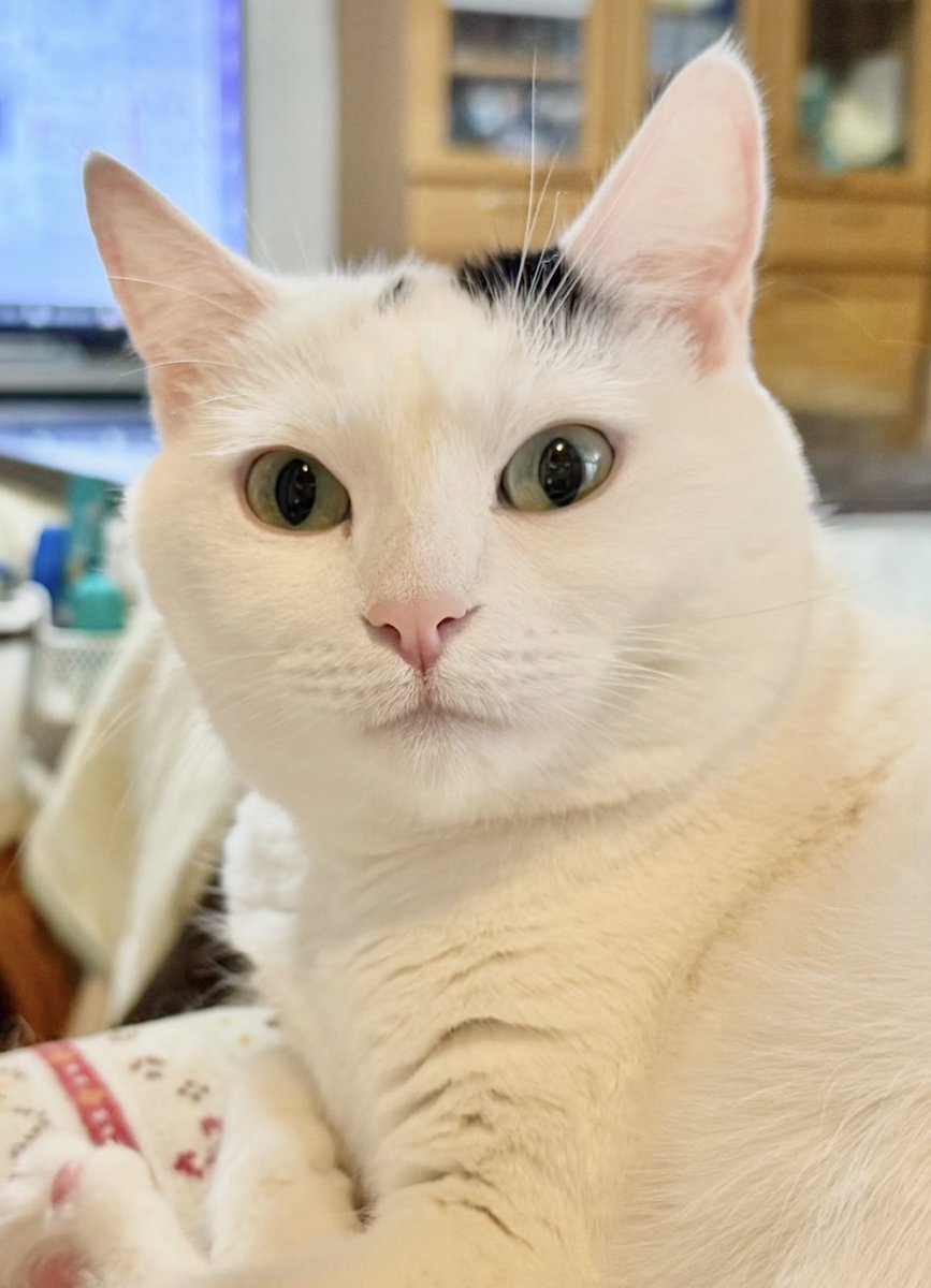 美しいでしょ✌️😸❤️