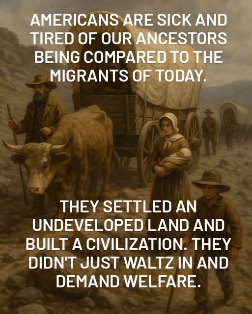 Sadie_NC's tweet image. Facts!