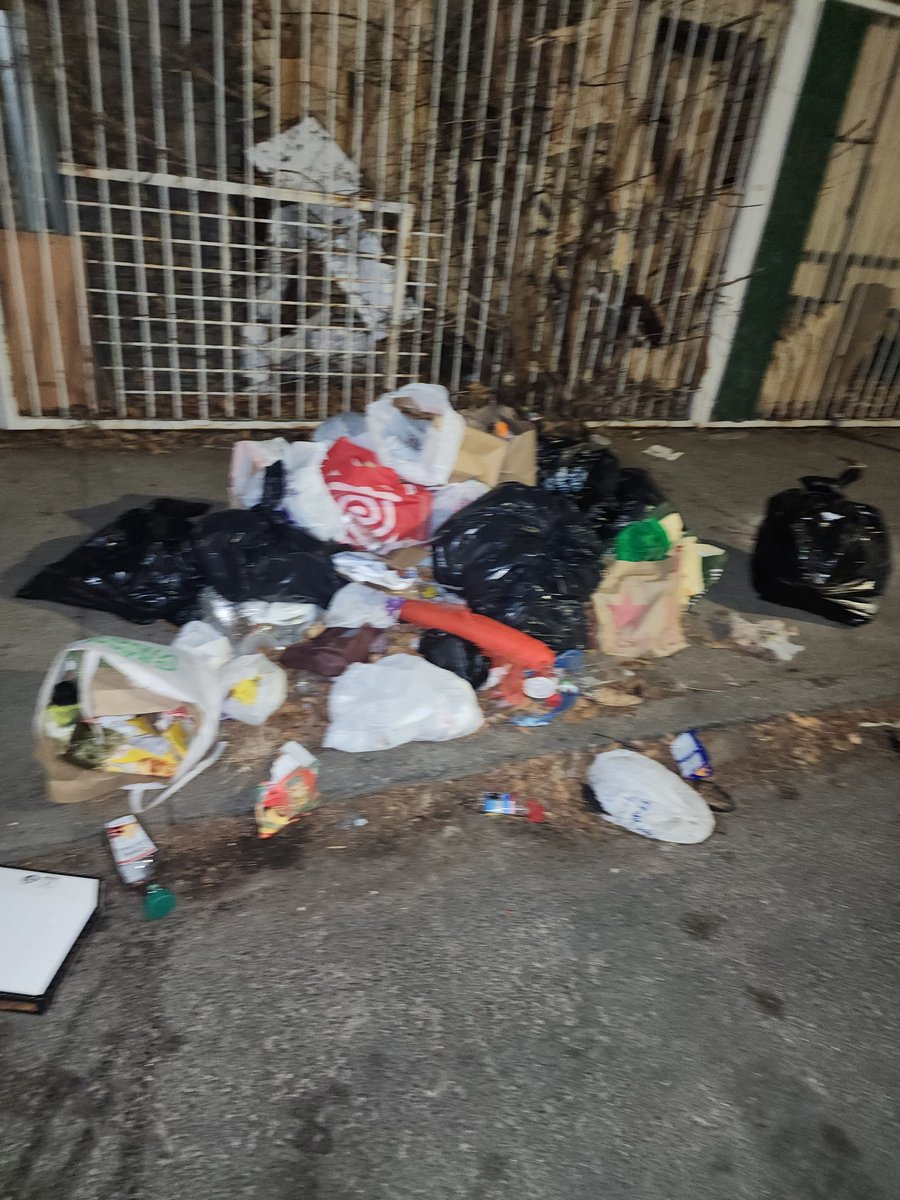NittyRegulator's tweet photo. This is an on going issue in Brooklyn, on Lenox rd between Remsen ave and E 57th st. @NYCSanitation https://t.co/73Yx5tsQkD