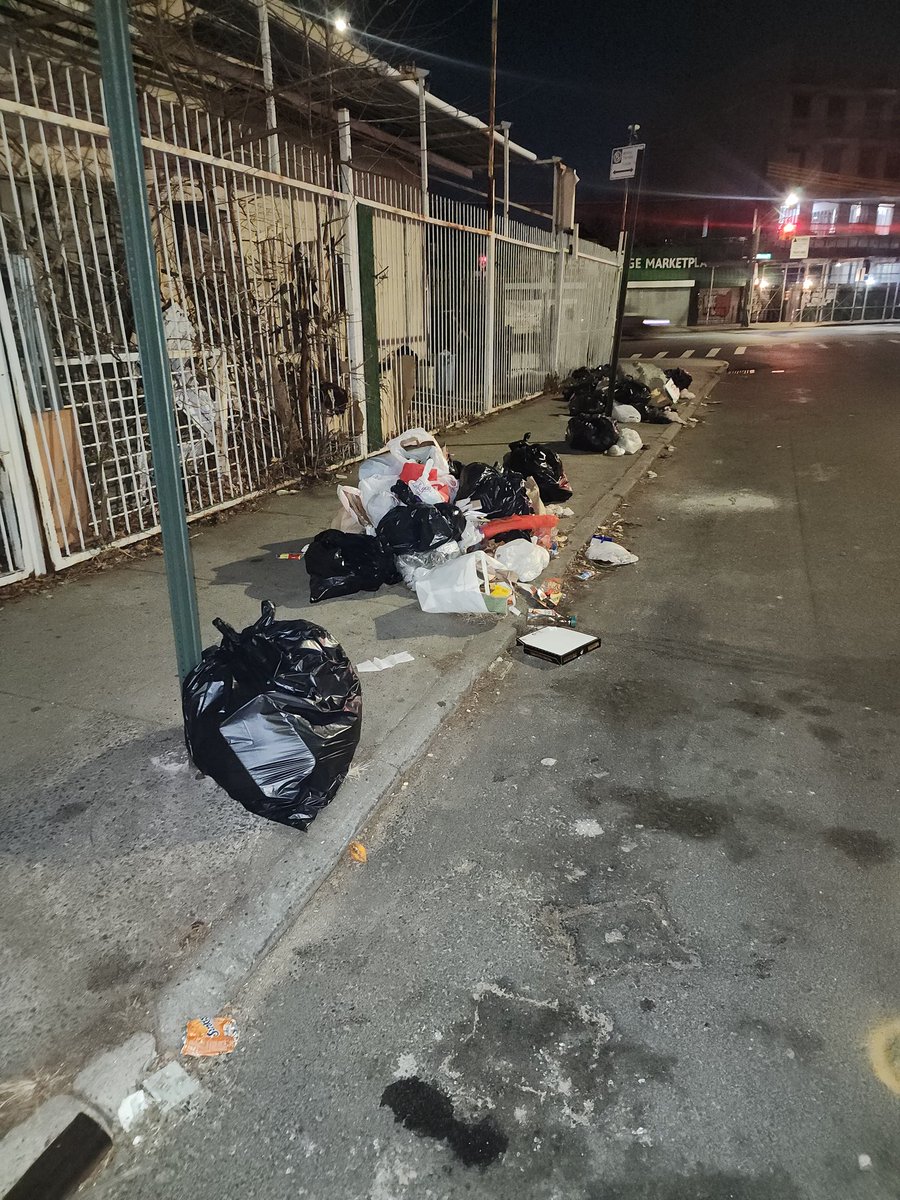 NittyRegulator's tweet photo. This is an on going issue in Brooklyn, on Lenox rd between Remsen ave and E 57th st. @NYCSanitation https://t.co/73Yx5tsQkD