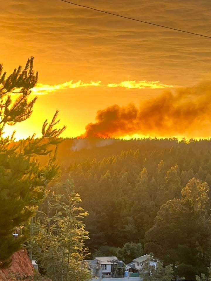 Incendio Forestal sector Altos de Chacarillas en #Constitución. Bomberos y brigadas forestales acuden al lugar.
