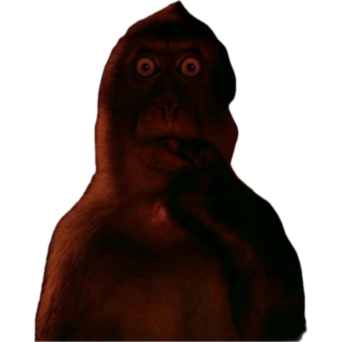 Alexander G tweet media