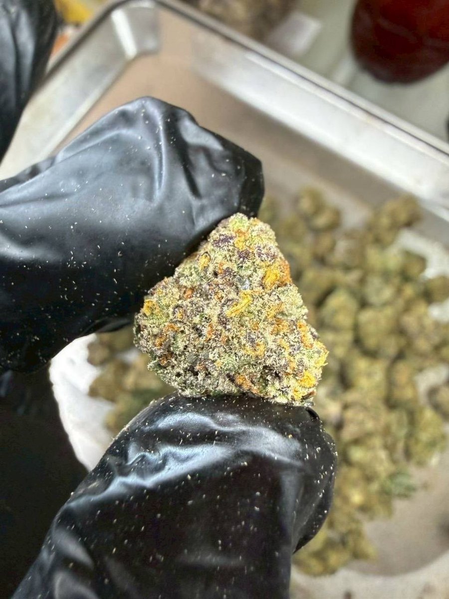 thomas_boyd420's tweet photo. 🥮 Blackberry Cake
( 🤮 THC 33% ) Pop-Mini
( Indica 70% / Sativa 30% )
❄️ Indoor Exotic

https://t.co/WSrfRoXNxd

#BlackberryCake #THC33 #IndicaSativa #IndoorExotic #PremiumFlower #CannabisCommunity #GanjaGoodies #FlowerPower #DDaungFlower #420Lifestyle https://t.co/5qhnTrSWA3