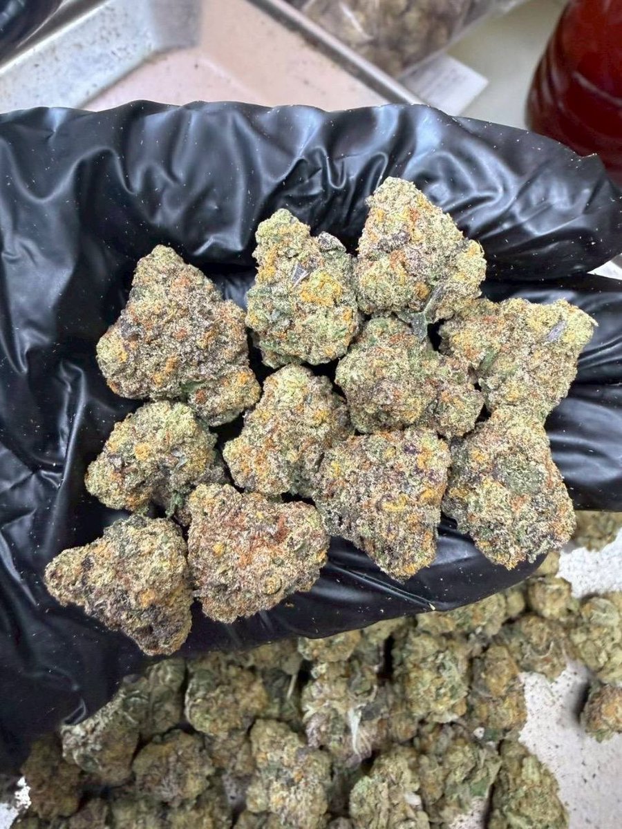 thomas_boyd420's tweet photo. 🥮 Blackberry Cake
( 🤮 THC 33% ) Pop-Mini
( Indica 70% / Sativa 30% )
❄️ Indoor Exotic

https://t.co/WSrfRoXNxd

#BlackberryCake #THC33 #IndicaSativa #IndoorExotic #PremiumFlower #CannabisCommunity #GanjaGoodies #FlowerPower #DDaungFlower #420Lifestyle https://t.co/5qhnTrSWA3