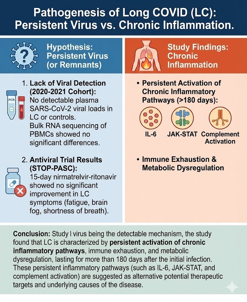 dlingenfelter's tweet image. Long COVID is not caused by lingering virus: no plasma viral load was found, and antivirals failed.

Instead, it's driven by chronic inflammation, immune exhaustion, and metabolic disruption—lasting over 180 days post-infection.
nature.com/articles/s4159…