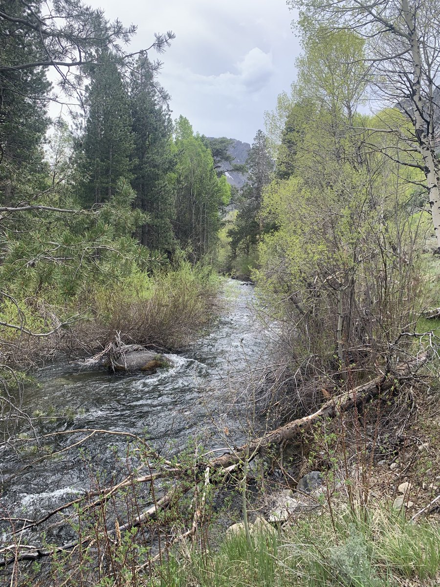 PennerEvan's tweet photo. @briscoepark God I would kill to see photos along the CA395 from you. It’s a stunning area https://t.co/i6aihViYrU
