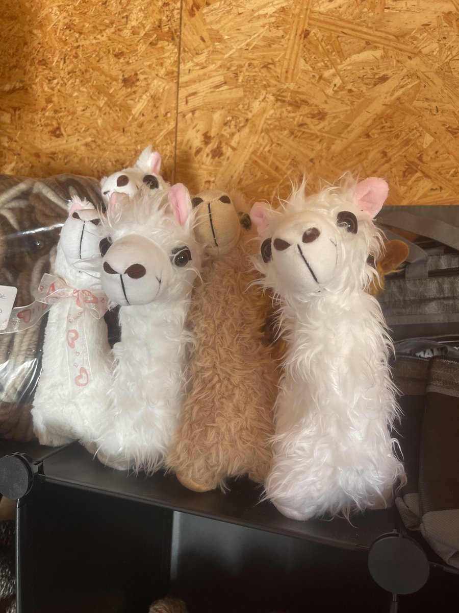 CPPastures's tweet photo. It's been a busy day of visitors and online order packing. We still have some favorites available! Socks (limited supply), Hats, Gloves, &amp; Dryer Balls Farm Store Hours: Saturday from 11:00–2:00, and we’re always open online at 👉 https://t.co/PJuetPziVl  #cppastures #shoplocal https://t.co/s1lj61AjZc