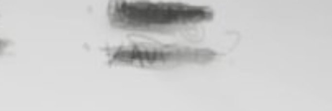 BAtcorpatOS_'s tweet photo. @Alastor0417 @JordyPorgieArt Guys it says kaufmo there right? https://t.co/EnFDj9wtya