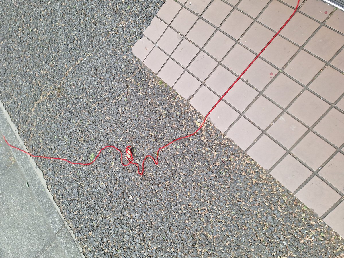 12月14日(日)13時／18時。千秋楽でございます。
私の相棒は今日も綺麗に照らされています。文字をちゃんと打てる、時々啼く心強い相棒です。
さて、劇場の外まで続く赤い糸はどこまでいくのでしょう。
天気がよろしくないですが、かつてない #青い鳥 を体験しに来てください。
#サイマル演劇団
#大美穂