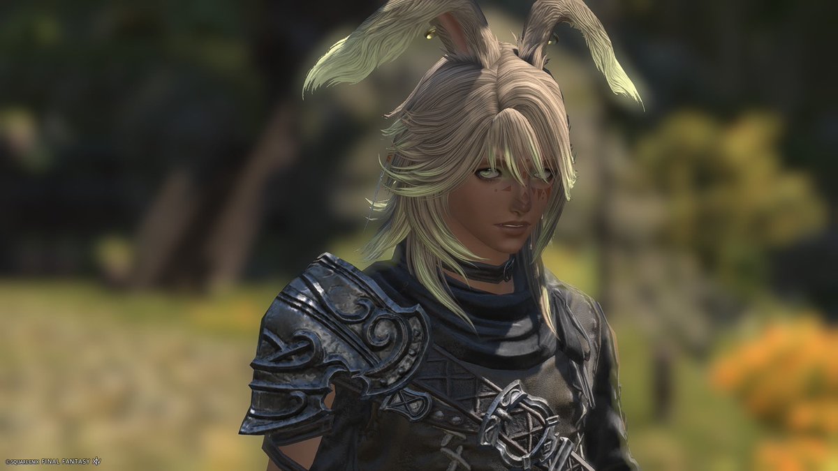 Sqiitz's tweet photo. Just wanted to share my new bun boi Imani~ he’s based off of an already made OC of mine who is a surfer 
Please recommend me some glam to put him in 😭 he’s just a wee sprout but I can save for it

#ffxiv #ffxivgpose #vieramale #SqitzOCs https://t.co/GYvxNbhHdQ